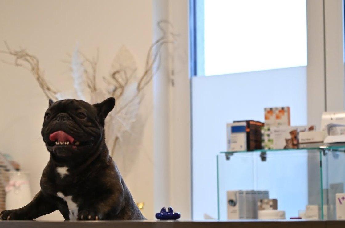 Atlas veterinarijos klinikos registratūra Užubaliuose